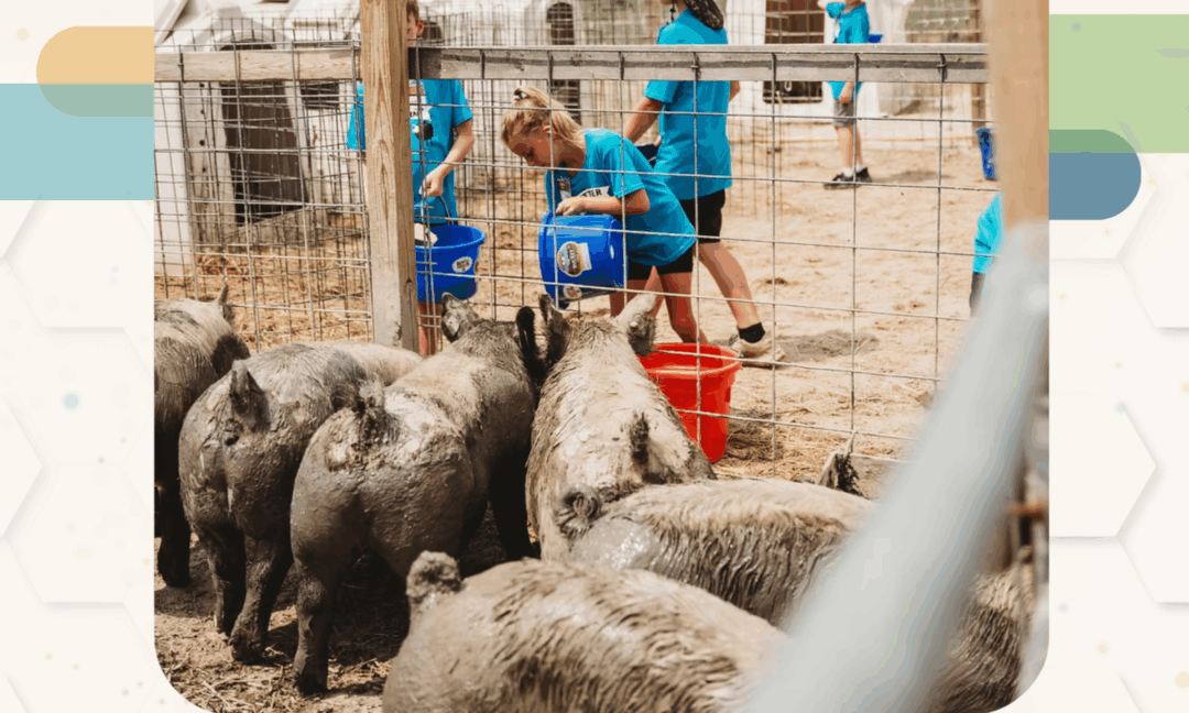 Expanding Experiential Learning With Critter Barn Animal Academy