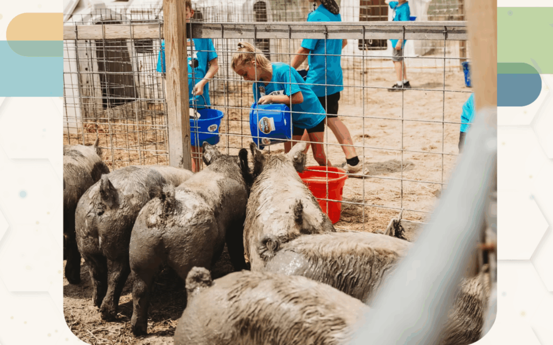Expanding Experiential Learning With Critter Barn Animal Academy